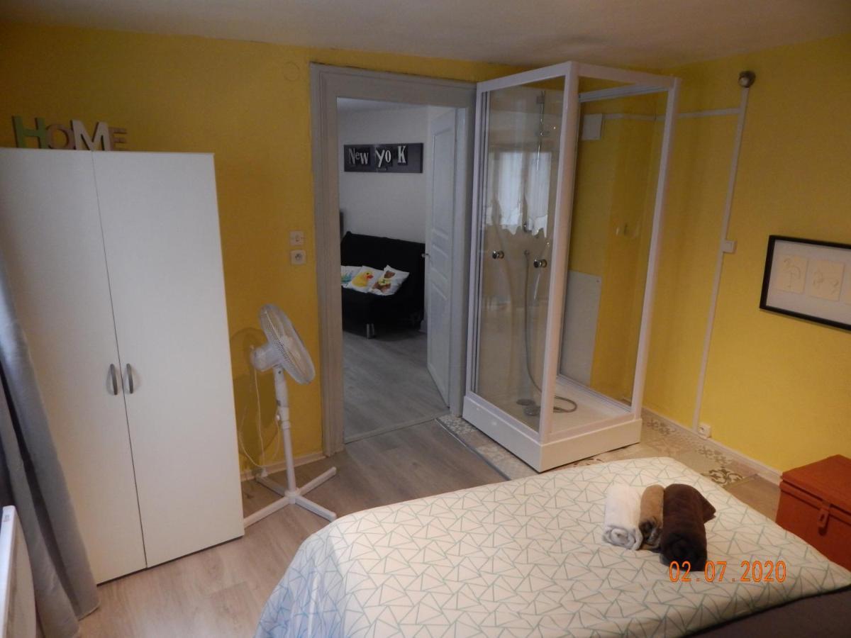 La Cigogne Blanche Appartamento Colmar Esterno foto